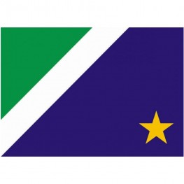 Bandeira Mitraud Bordado 1,60x1,13 Cm Estados
