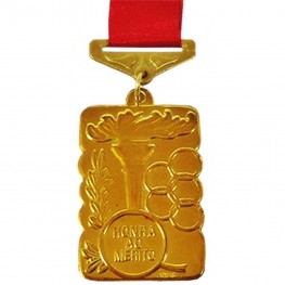 Medalha Retangular Ref.321-628 30x45 Mm