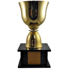 Troféu Jeb's Ref. 1543 33 Cm Taça