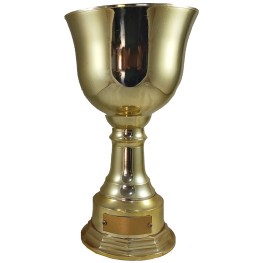 Troféu Jeb's Ref. 0962 29 Cm Taça