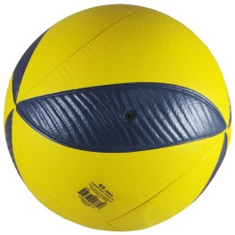 Bola Rainha Volei Vl 2.5 Oficial Pvc Fusion