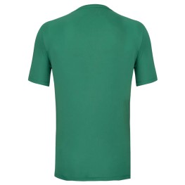 Camisa Palmeiras Masculina 1914 Verde Licenciada