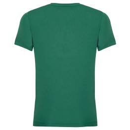 Camisa Palmeiras Feminina 1914 Verde Licenciada