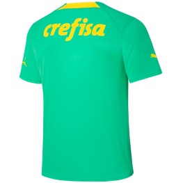 Camisa Oficial Puma Palmeiras 3 Third Jersey 2022