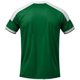 Camisa Palmeiras Masculina Power 2 Verde Licenciada