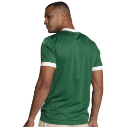 Camisa Palmeiras Torcedor 25/26 Home Verde